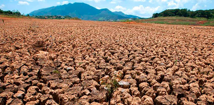 Sequía Afecta Agricultores Y Ganaderos De La Línea Noroeste.